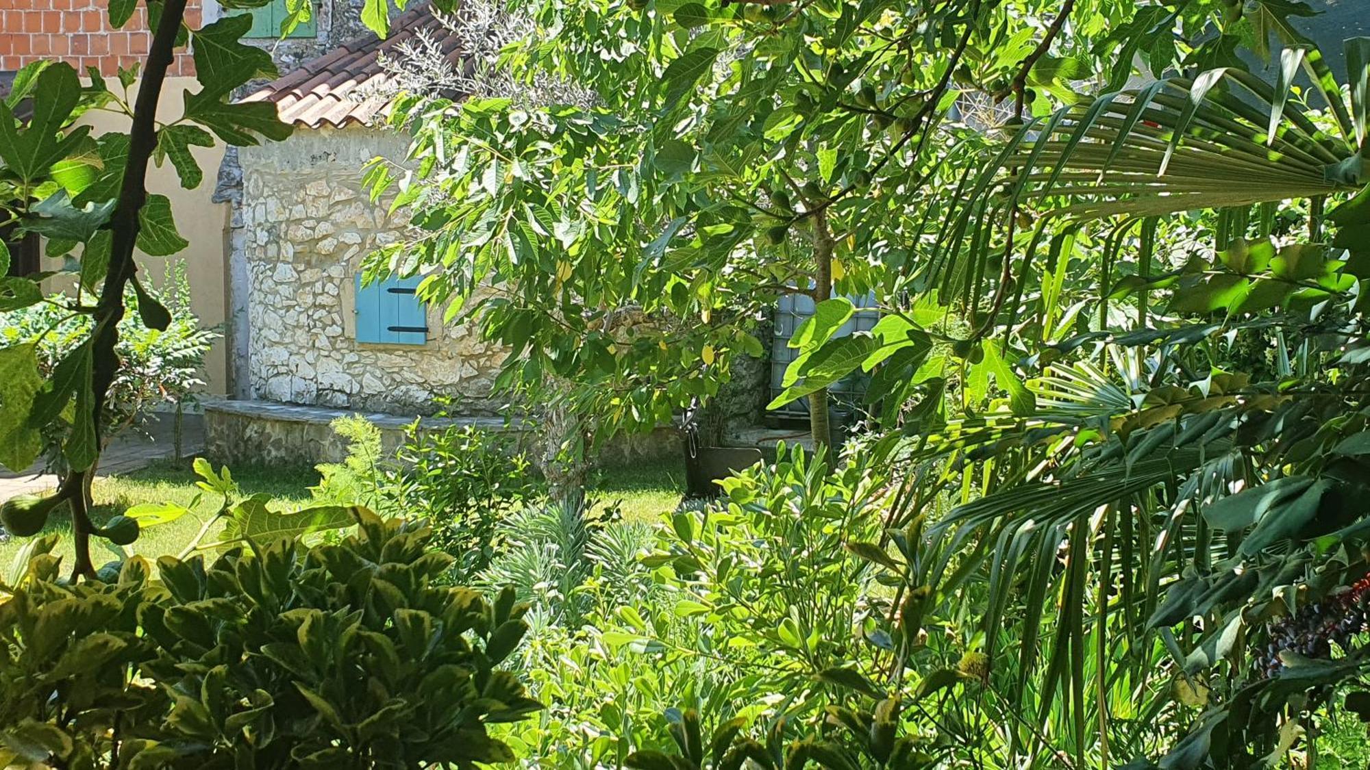 Villa Kazun With Private Pool And Two Gardens Marčana Екстериор снимка